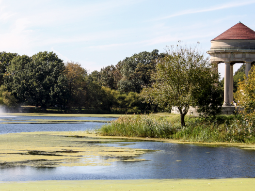 全美TOP美食市集之一！费城东南亚市场到底有多香？飞什么东南亚！让你泰老越风味一次吃个遍！
